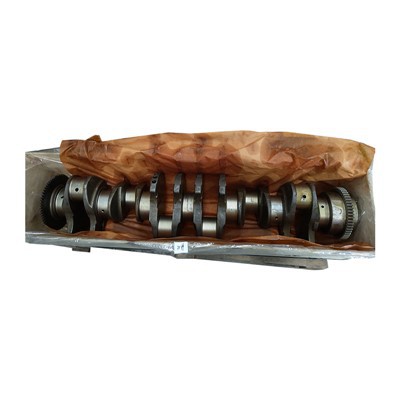 1005014-81DB alkūninio veleno mazgas